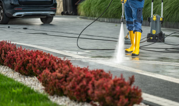 Best Exterior Home Cleaning  in Sussex, WI