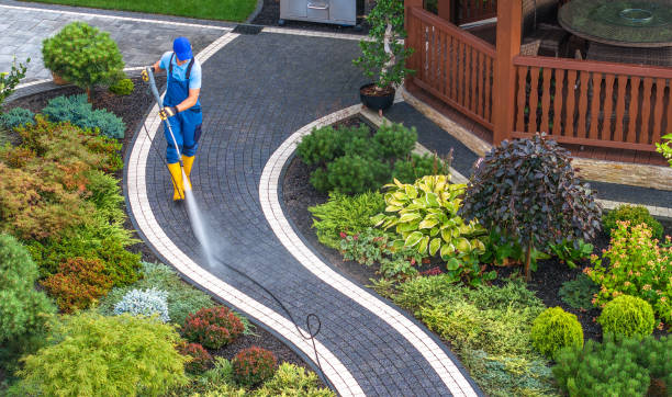 Best Pressure Washing Company Near Me  in Sussex, WI